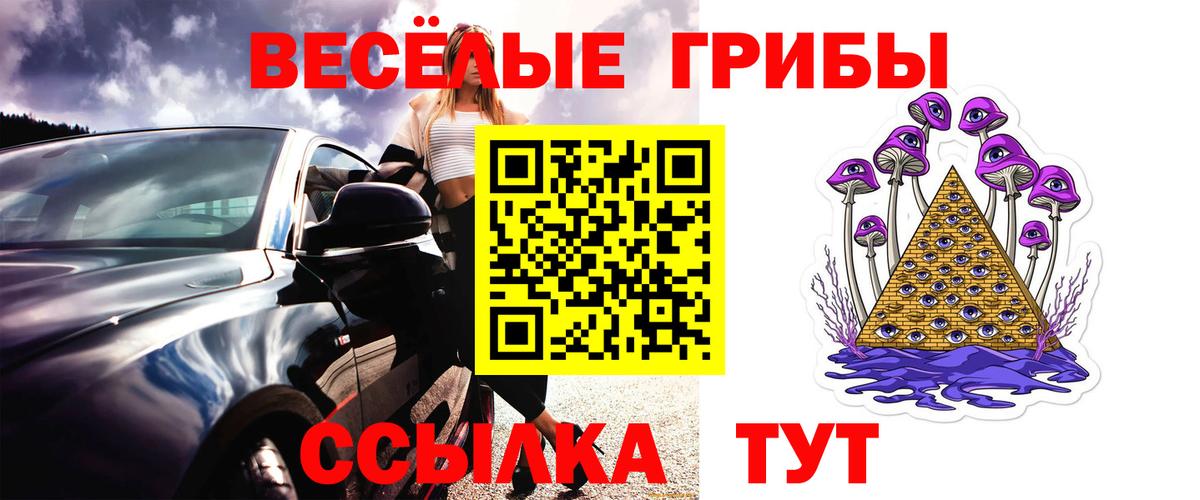 Псилоцибиновые грибы GOLDEN TEACHER  Вход с VPN  Солнечногорск 